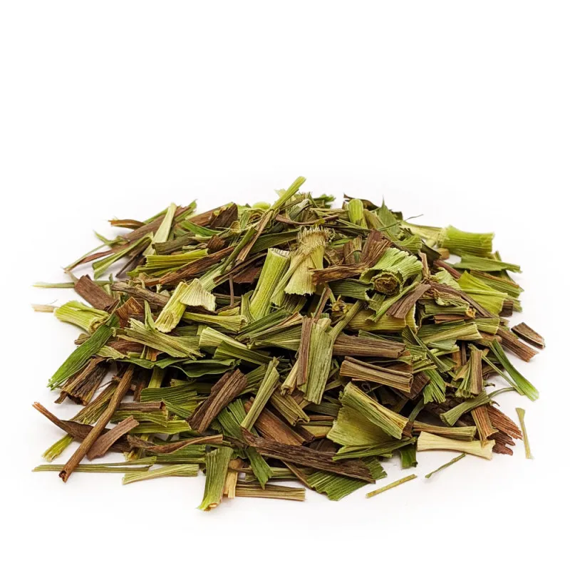 Capim Santo (Cidreira)